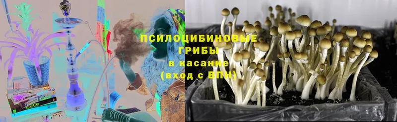 Псилоцибиновые грибы GOLDEN TEACHER  Североуральск 