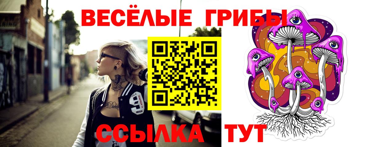 Галлюциногенные грибы Cubensis Североуральск