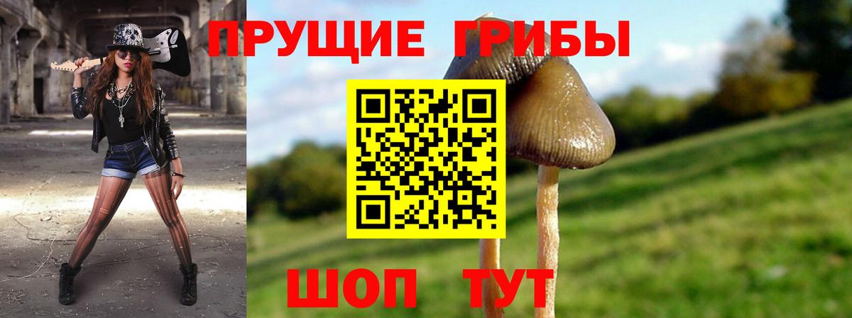 закладки  Вход с VPN  Североуральск  Галлюциногенные грибы Cubensis 
